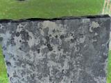 image of grave number 972840